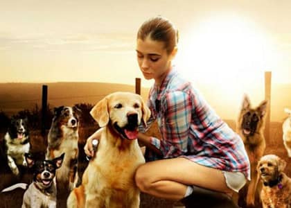 Woman with lots of dogs surrounding her
