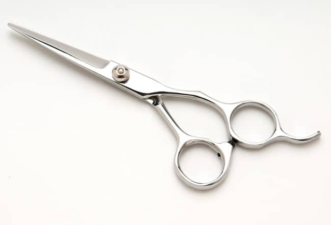 Stainless steel scissors